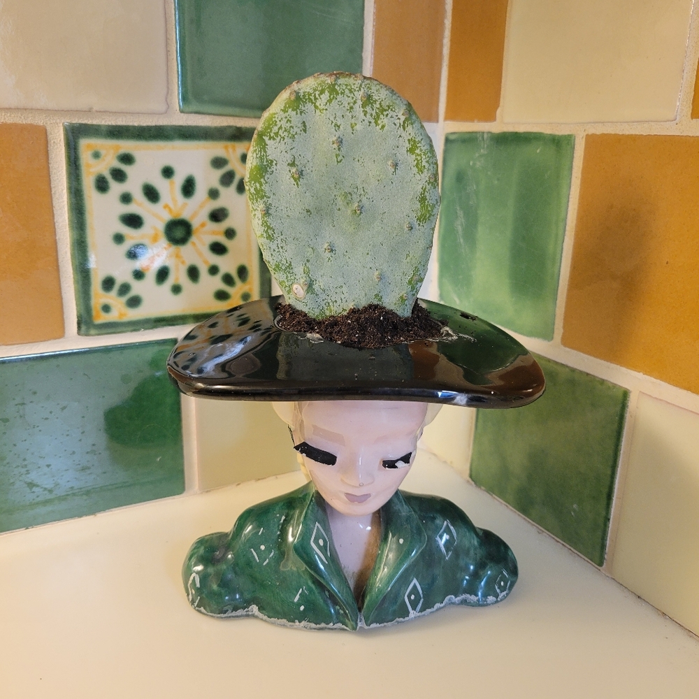 Prickly Pear Cactus Kit With Vintage Ladies Head Vace